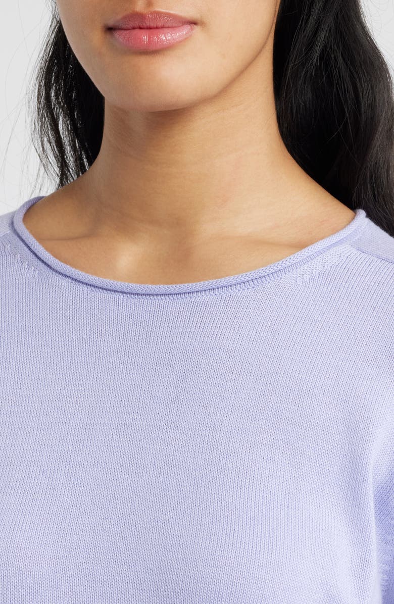Eileen Fisher Raglan Sleeve Organic Cotton Blend Sweater, Alternate, color, Petal
