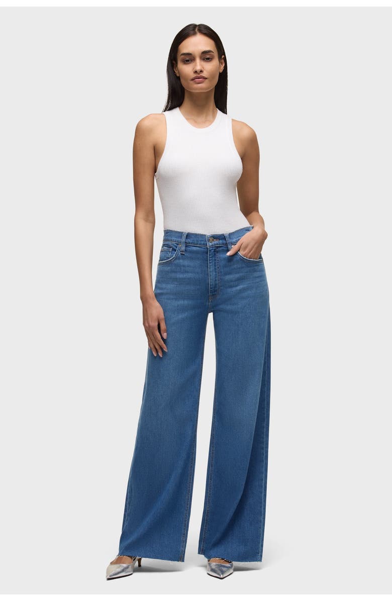 Hudson Jeans jodie loose fit wide leg, Alternate, color, Canyon Spring