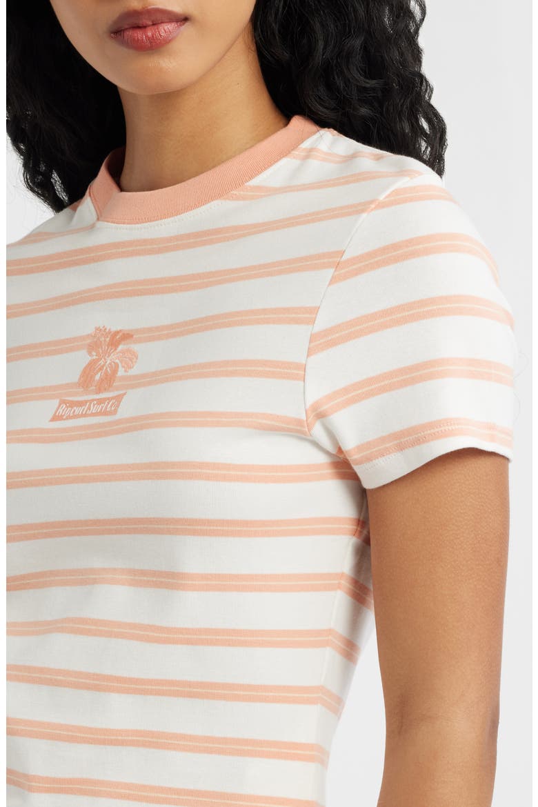 Stripe Embroidered Fitted T-Shirt, Alternate, color, PAPAYA STRIPE