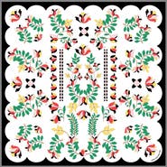 Jessie Zhao New York Double Sided Silk Scarf Floral Parade