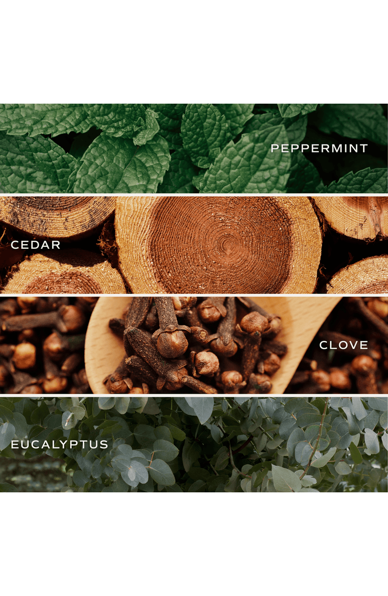 SWEET WATER DECOR Spring and Summer 15 oz Candles, Alternate, color, Relax Girl