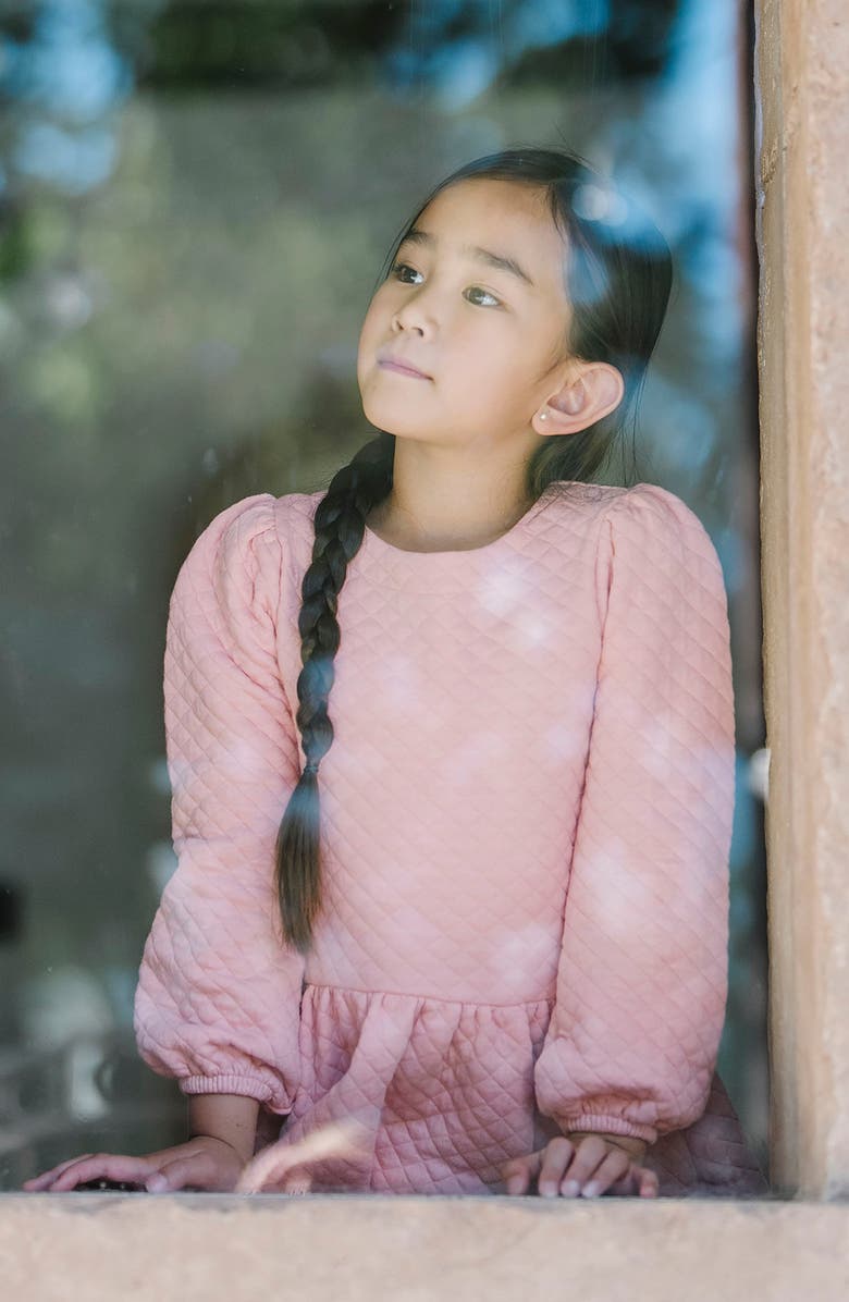 Hope & Henry Kids' Long Sleeve Quilted Drop Waist Dress, Alternate, color, Rose Quilted