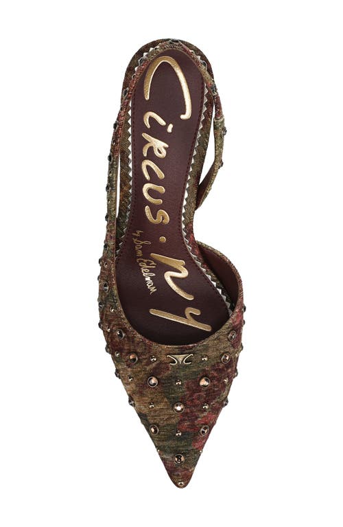 Circus Ny By Sam Edelman Tallie Pointed Toe Slingback Pump In Brown