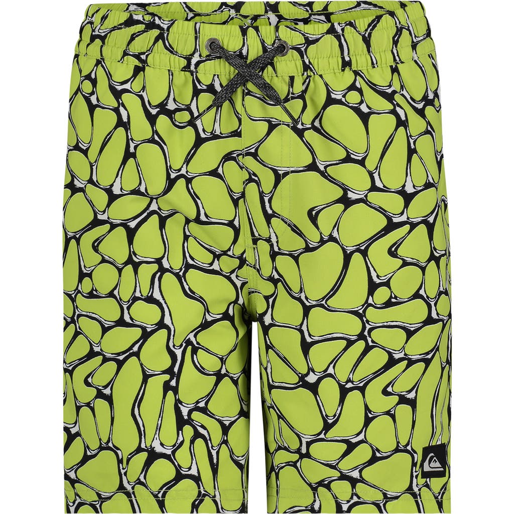 Quiksilver Everyday Solid Volley Swim Trunks In Green