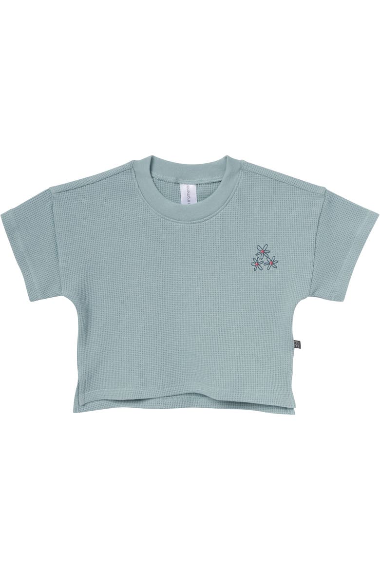 Drop Shoulder Top and Shorts Set, Alternate, color, Sky Stripe