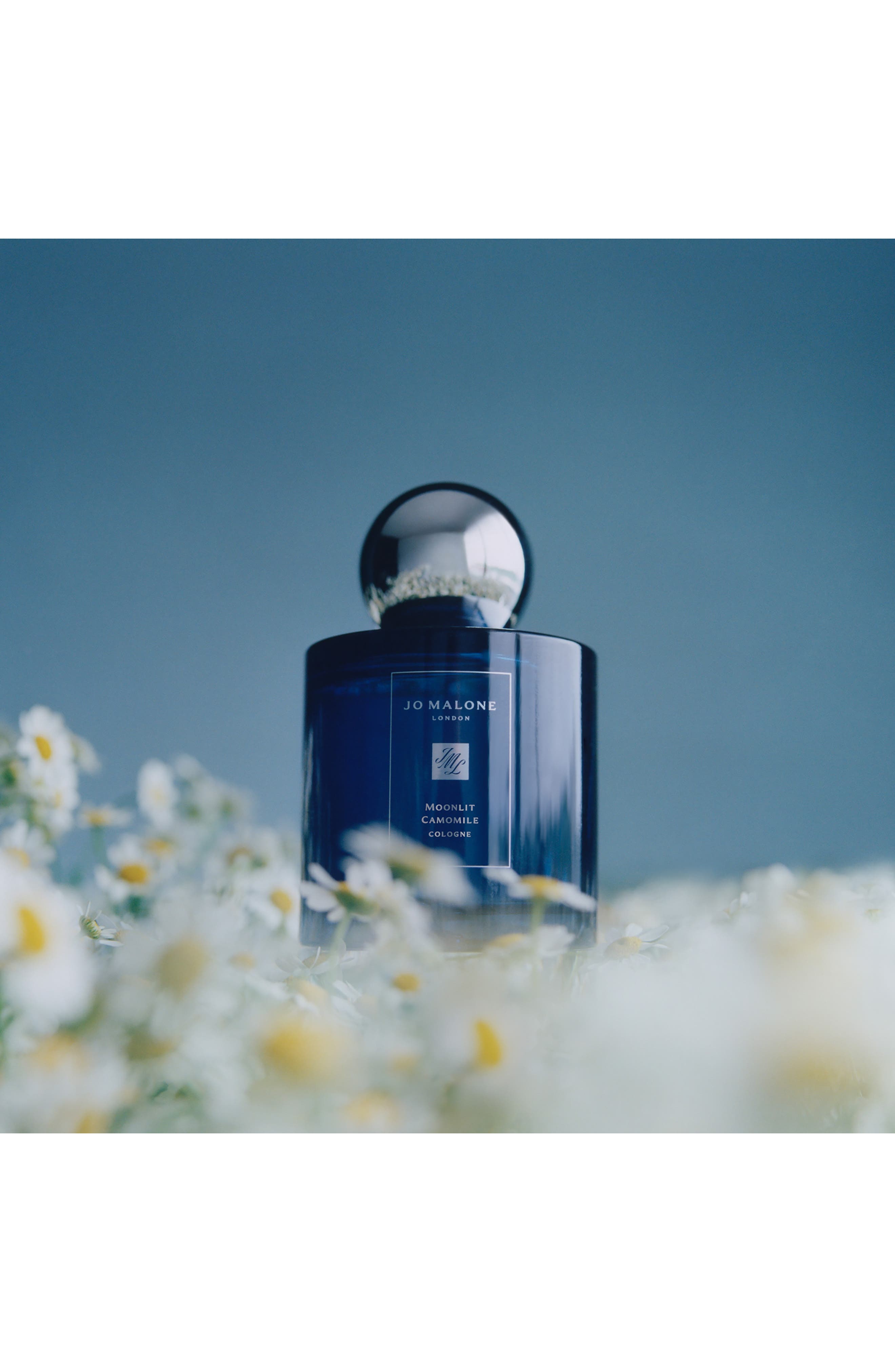 Moonlit Camomile Cologne | Nordstrom