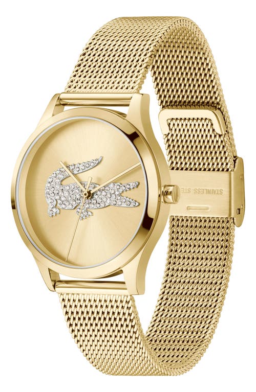 Lacoste Crocodelle Mesh Strap Watch, 36mm In Gold