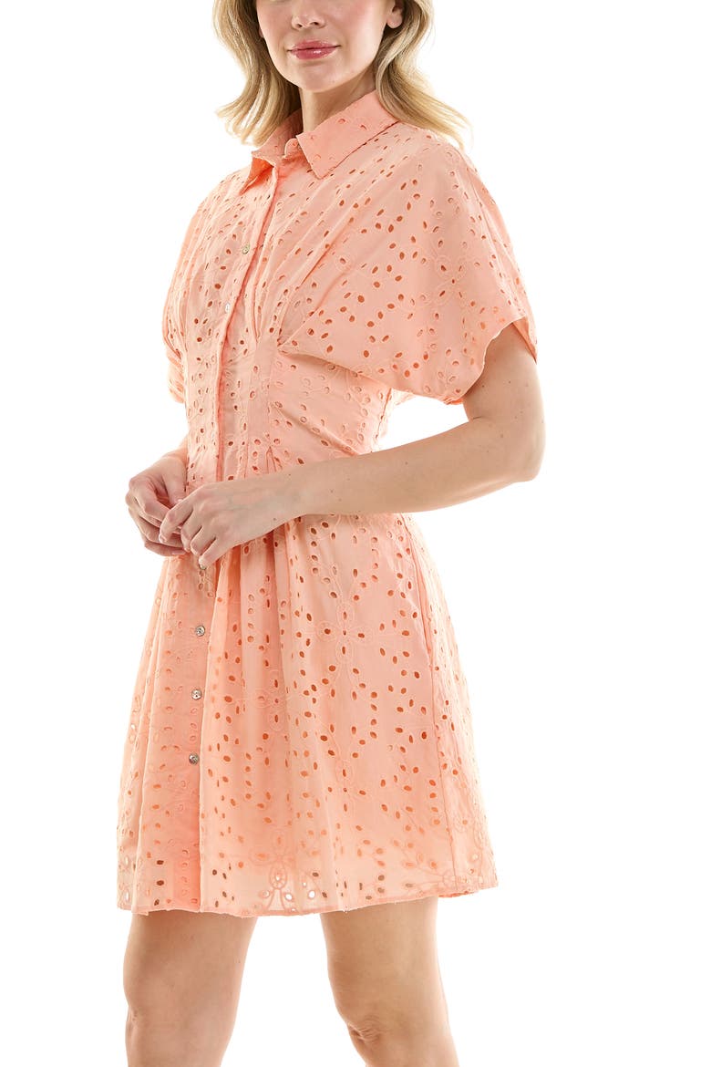 Cotton Broderie Anglaise Mini Shirtdress, Alternate, color, DUSTY PEACH