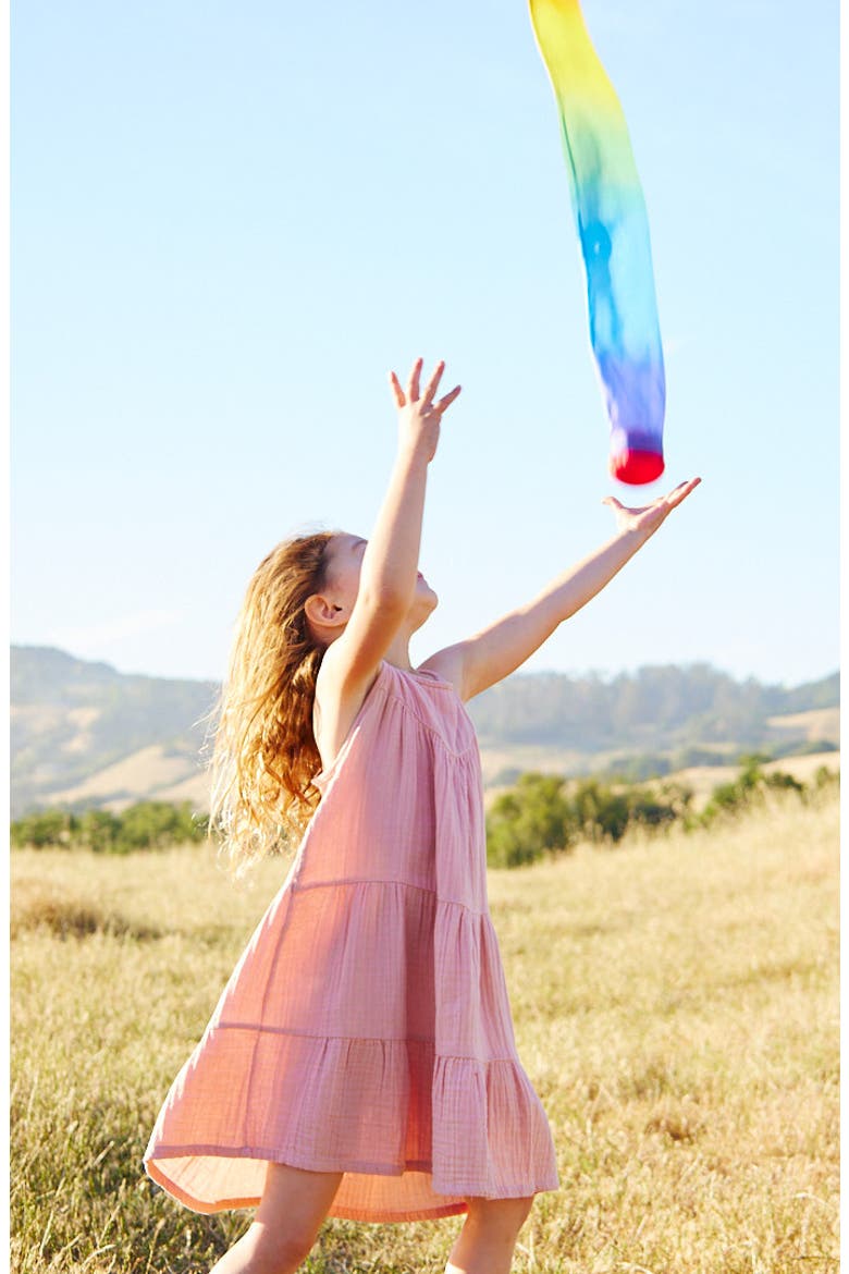 Rainbow Silk Skytail, Alternate, color, RAINBOW COMET