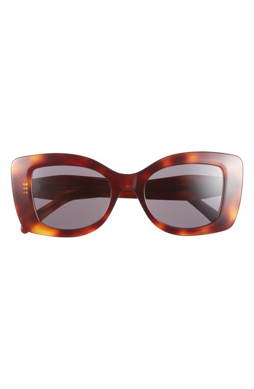 Celine 3 Dots Butterfly Sunglasses In Brown