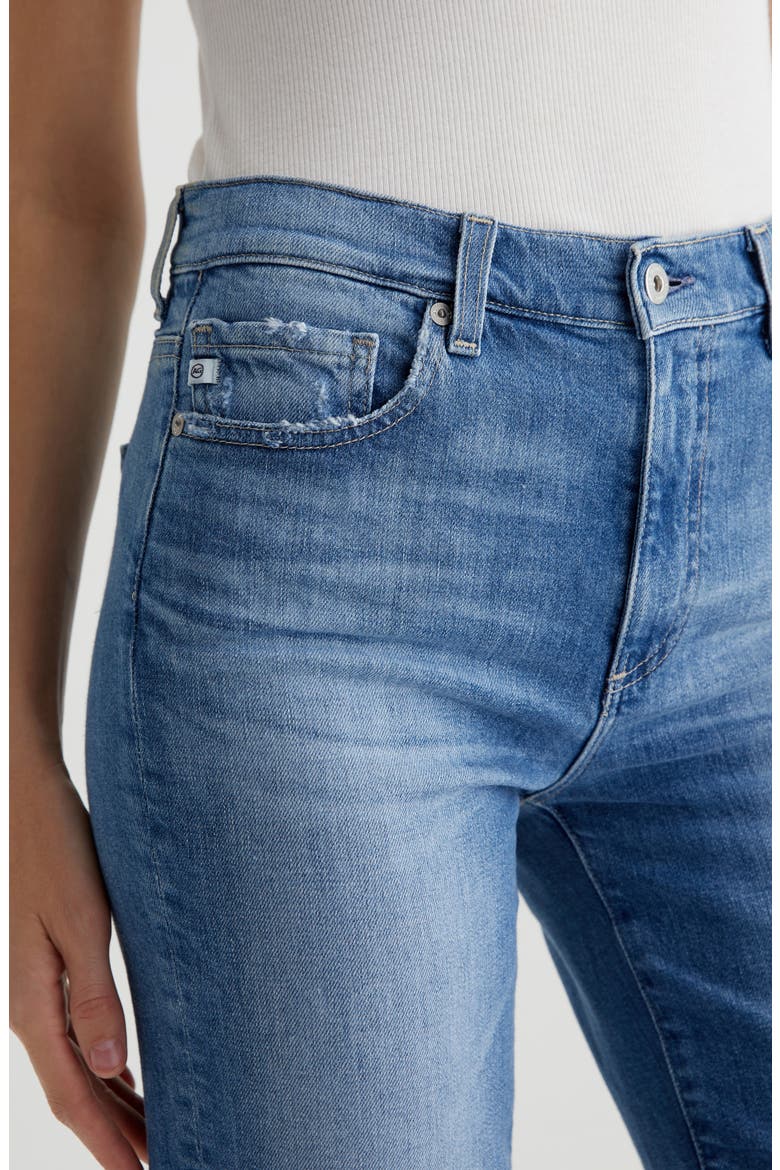 Brinley Classic Straight Leg Jeans, Alternate, color, IRIS