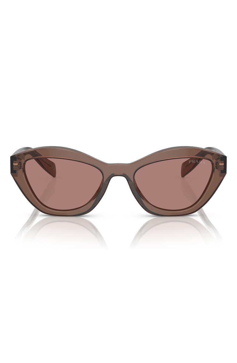 Prada 52mm Butterfly Sunglasses, Main, color, Light Brown