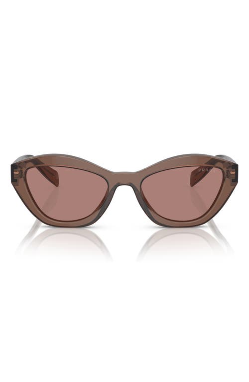 Prada 52mm Butterfly Sunglasses In Light Brown