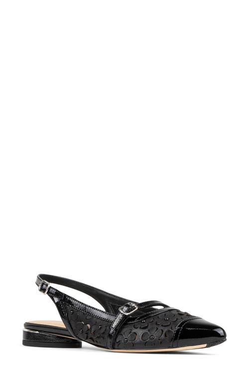 DONALD PLINER DONALD PLINER POINTED TOE SLINGBACK FLAT
