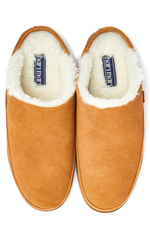 Hari Mari Tio Genuine Shearling Lined Slipper In Tan