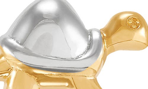 Frankie & Zoe Turtle Stud Earrings In Gold