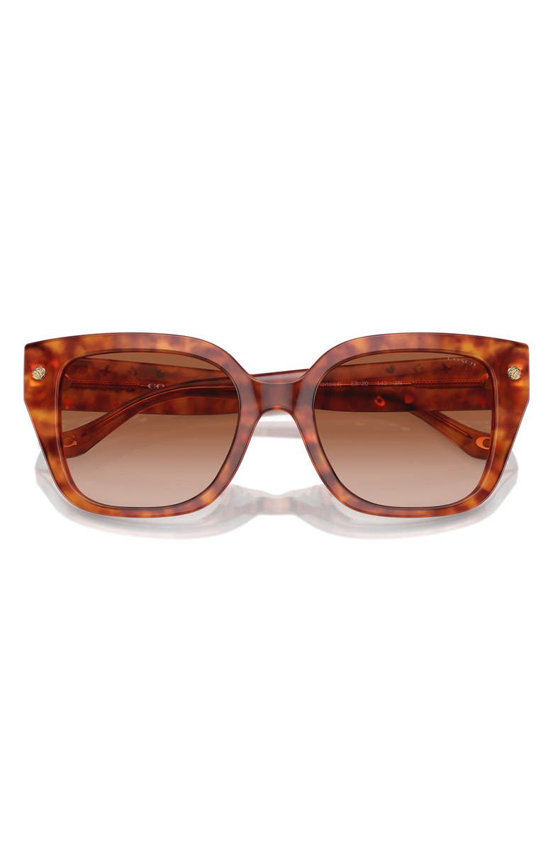 COACH 53mm Gradient Square Sunglasses, Main, color, Brown Tortoise