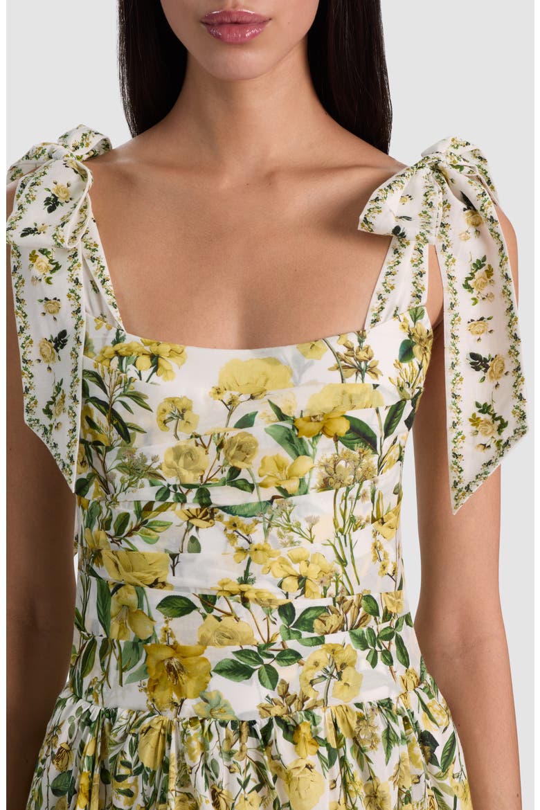 alice and olivia haven pleated printed chiffon maxi dress Alice + Olivia Haven Flared Maxi Dress, Size 10