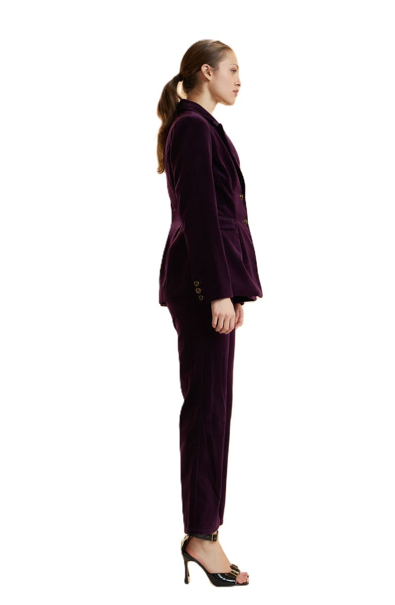 Cynthia Rowley Velveteen Fitted Blazer, Alternate, color, Purple