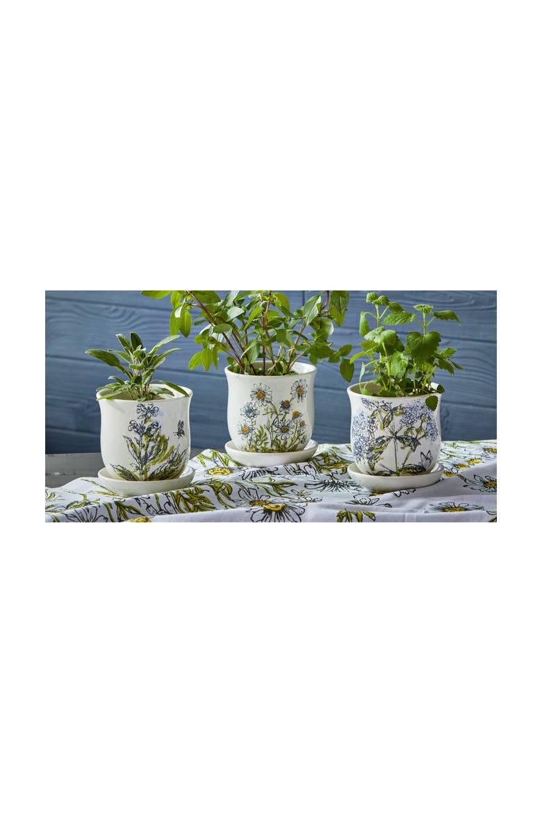 Sage Ceramic Planter with Saucer Set Multicolor Garden Pots, Alternate, color, White