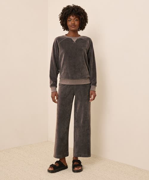 Pact Pure Velour Crew Sweatshirt In Multi