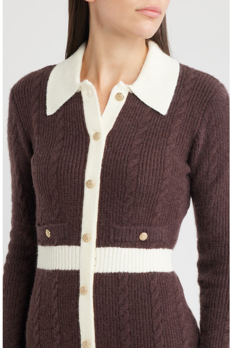 Long Sleeve Cable Stitch Sweater Dress, Alternate, color, BROWN/ IVORY