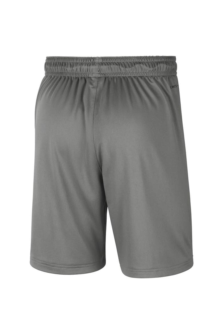 Men's Jordan Brand Gray Florida Gators Performance Shorts, Alternate, color, Gray