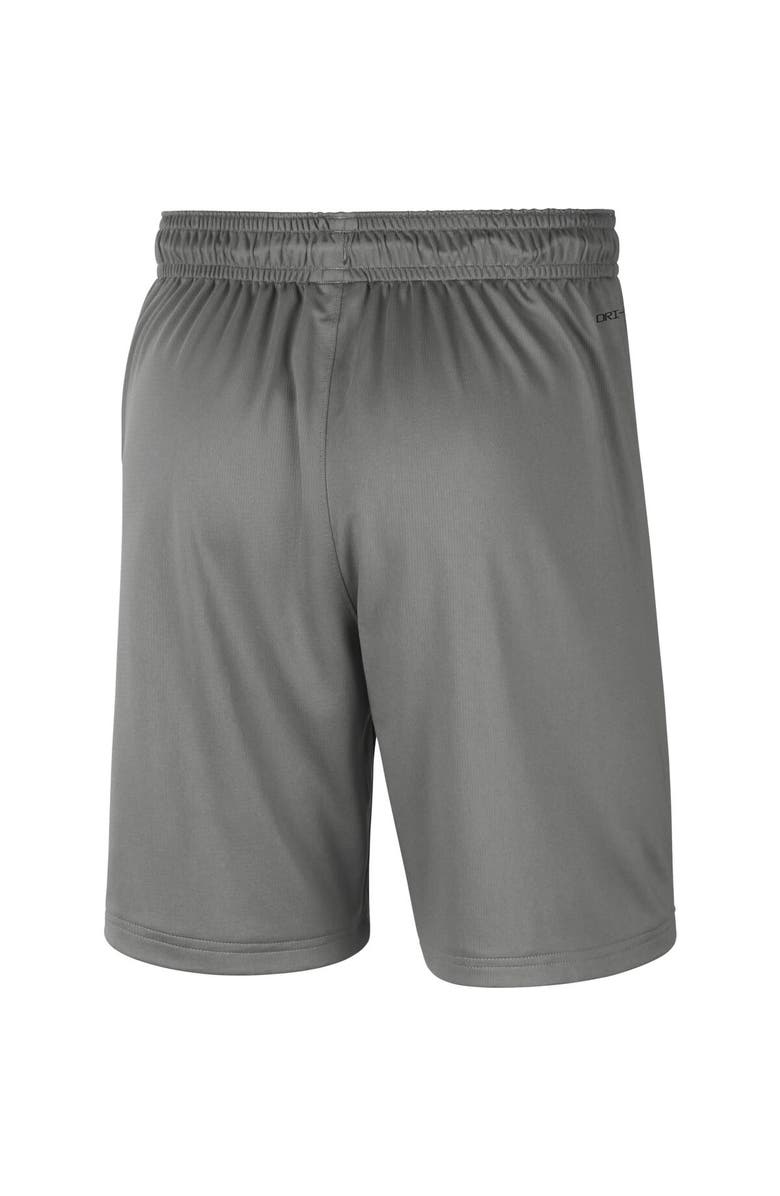 Jordan Brand Men's Jordan Brand Gray Florida Gators Performance Shorts, Alternate, color, 