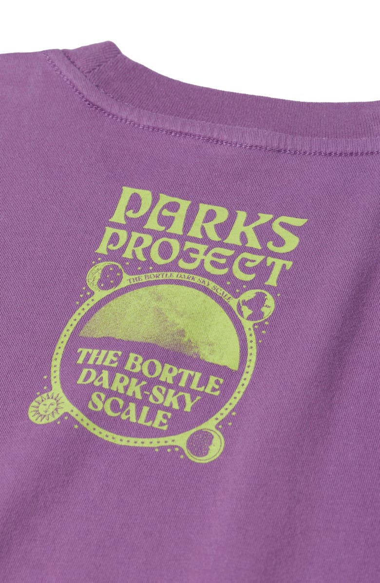 Parks Project Dark Sky Scale Relaxed Tee, Alternate, color, Vintage Plum
