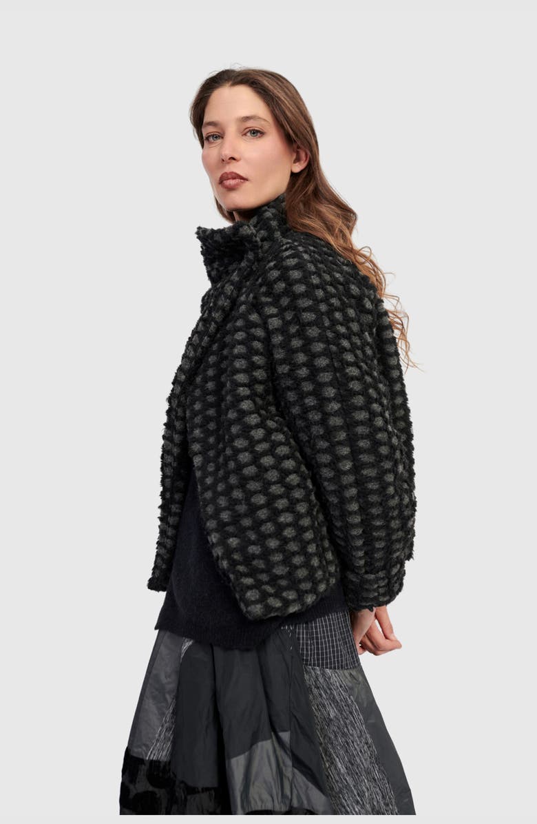 Alembika Vesper Cozy Moto Jacket, Alternate, color, Net