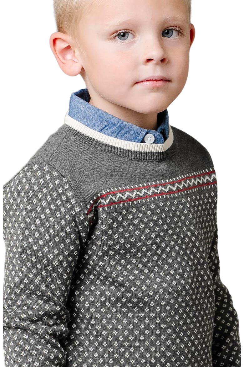 Boys' Organic Intarsia Crew Neck Sweater, Kids, Alternate, color, Charcoal Heather Birdseye