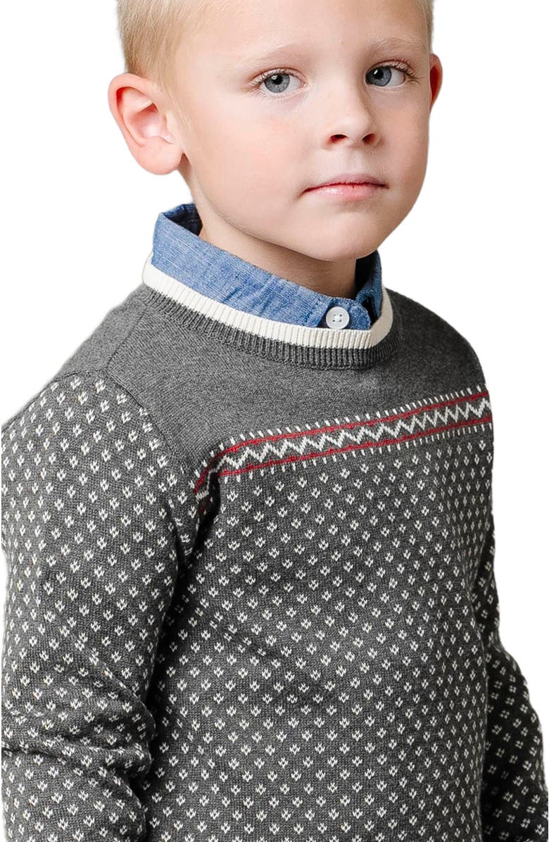 Hope & Henry Boys' Organic Intarsia Crew Neck Sweater, Kids, Alternate, color, Charcoal Heather Birdseye