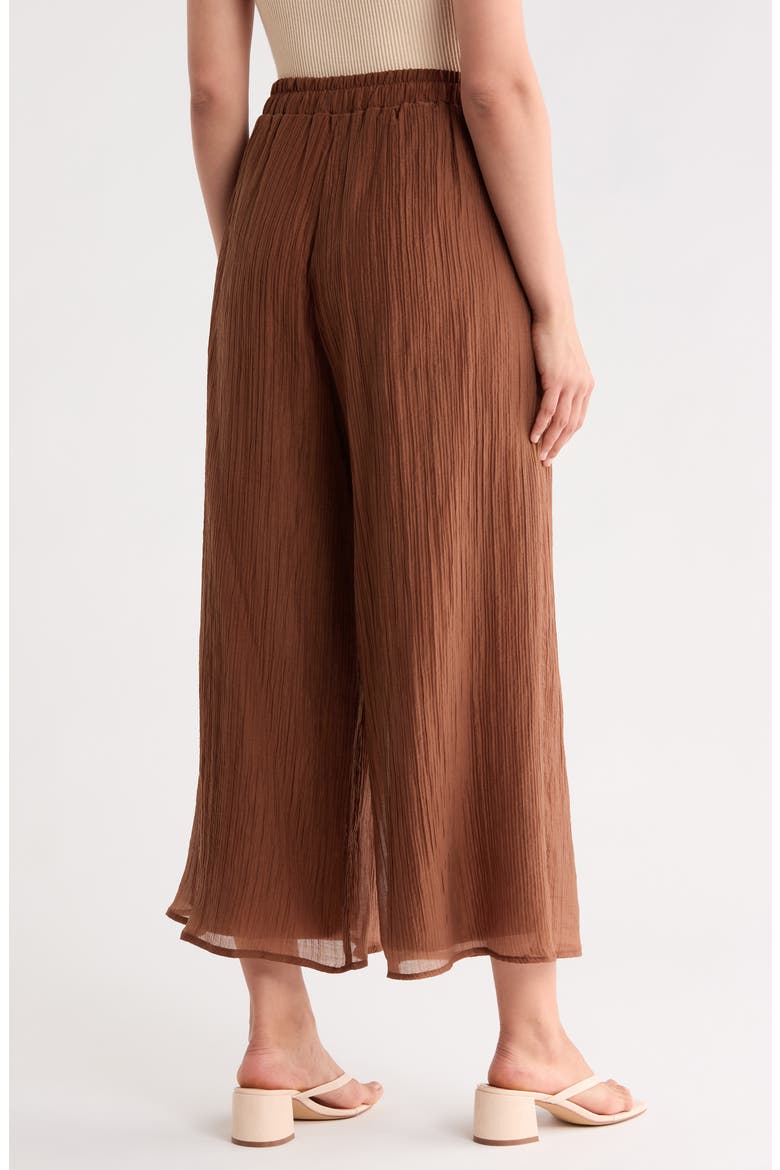 Plissé Pleats Pull-On Wide Leg Pants, Alternate, color, CAFE