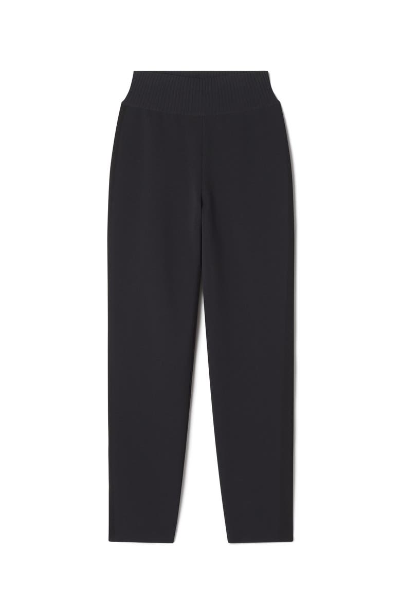 Lanvin Black Viscose Leggings, Alternate, color, Black
