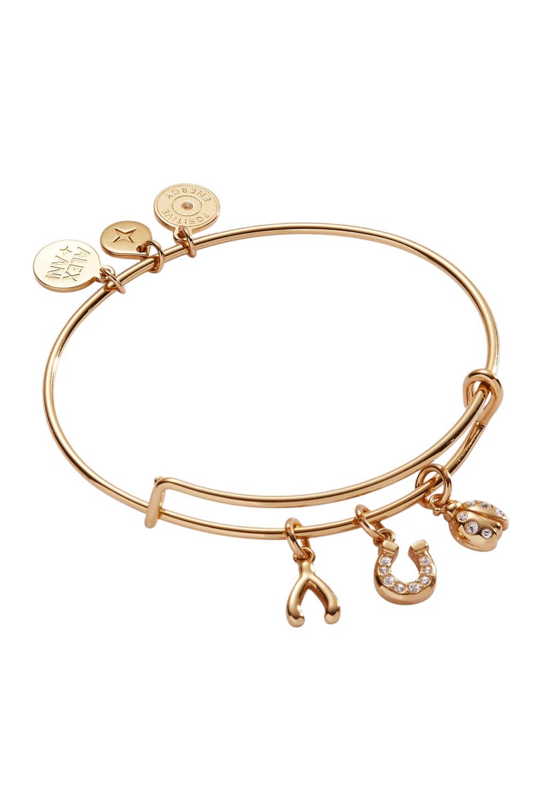 Love and Luck Multi Charm Bangle Bracelet, Main, color, Gold