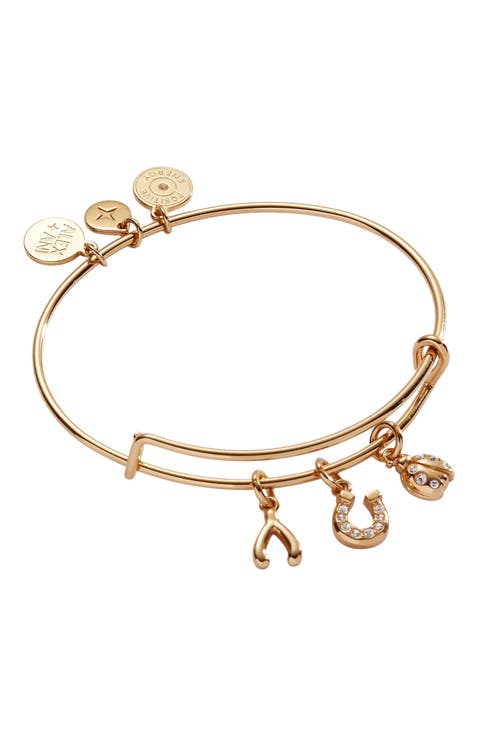 Love and Luck Multi Charm Bangle Bracelet