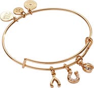 Alex and Ani Love and Luck Multi Charm Bangle Bracelet