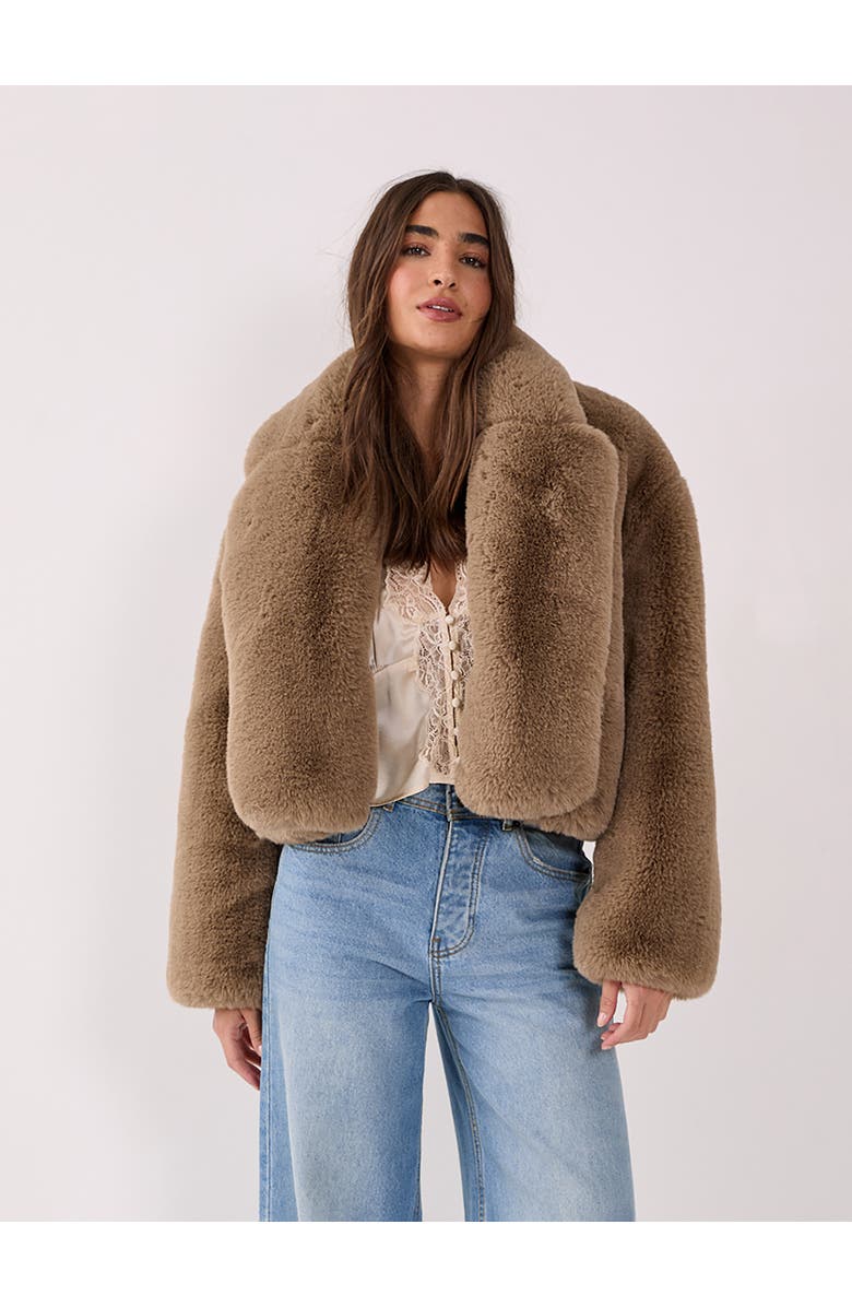 NASTY GAL Cropped Collar Faux Fur Jacket, Main, color, Mink