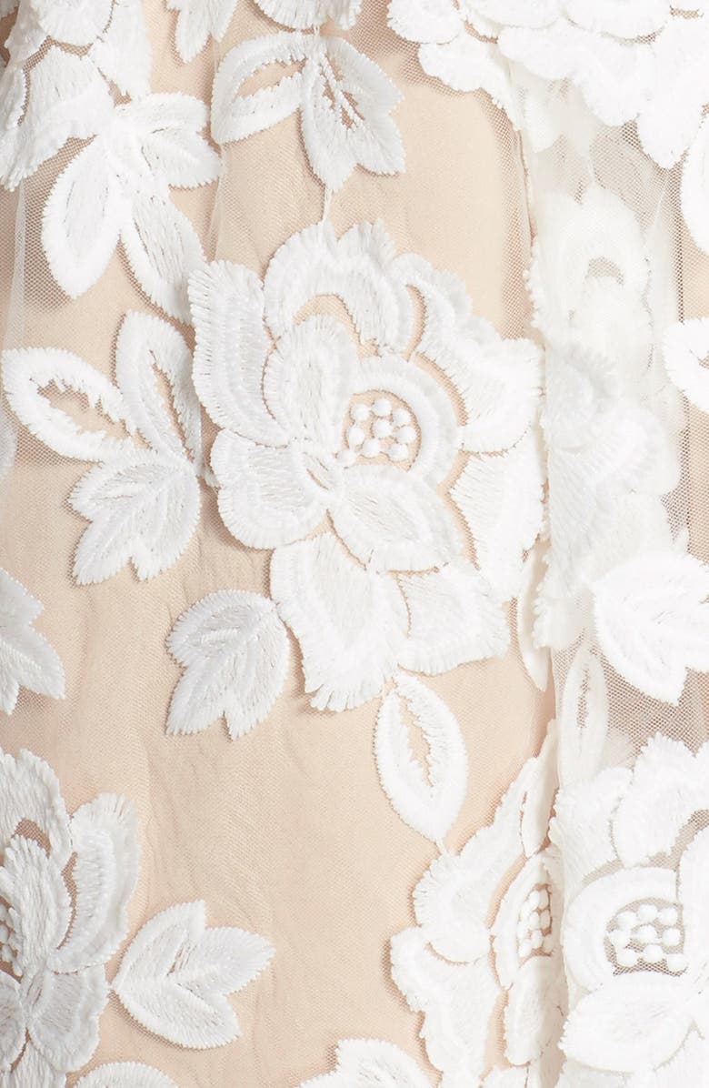 Eliza J Embroidered Mesh Fit & Flare Dress, Alternate, color,