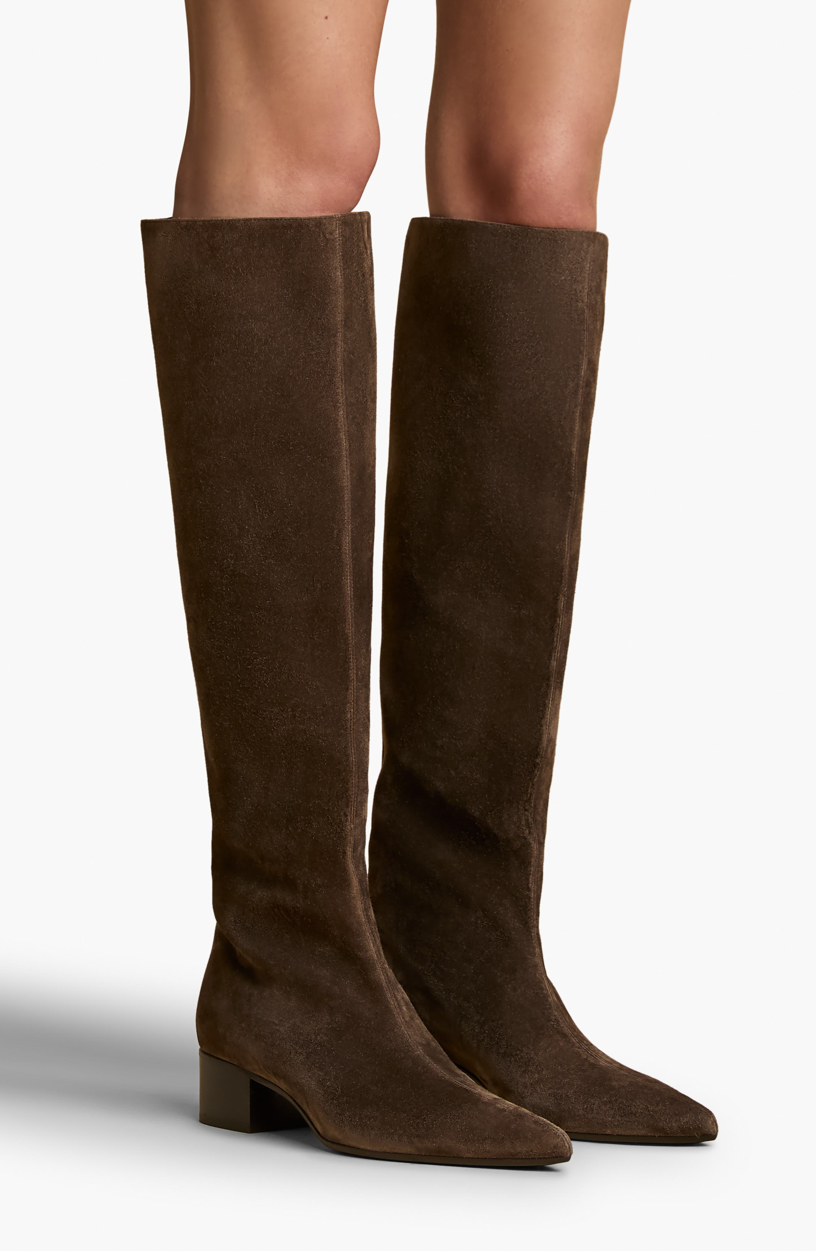 Khaite Andee Pointed Toe Knee High Boot, Alternate, color, 