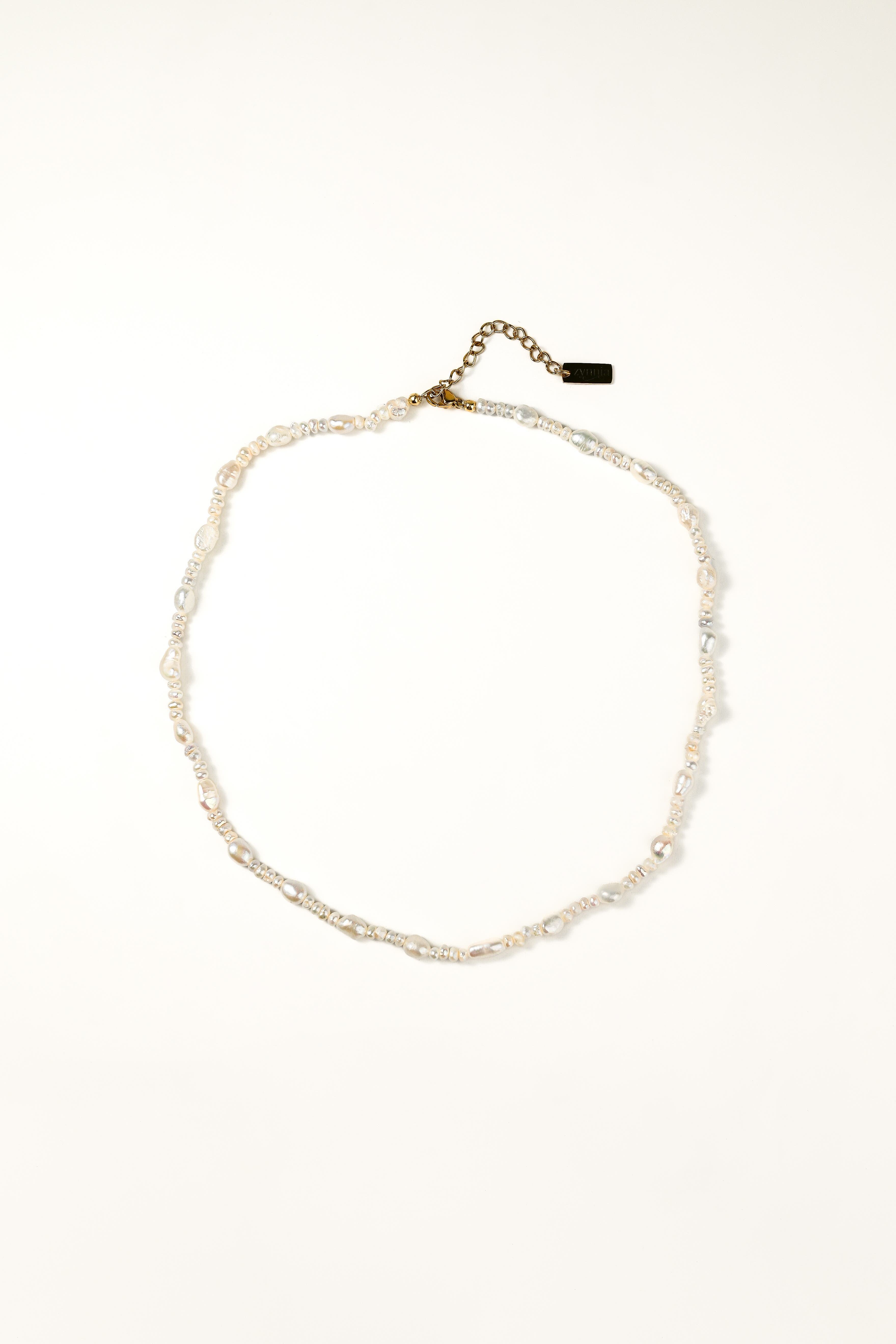 selected Ivory