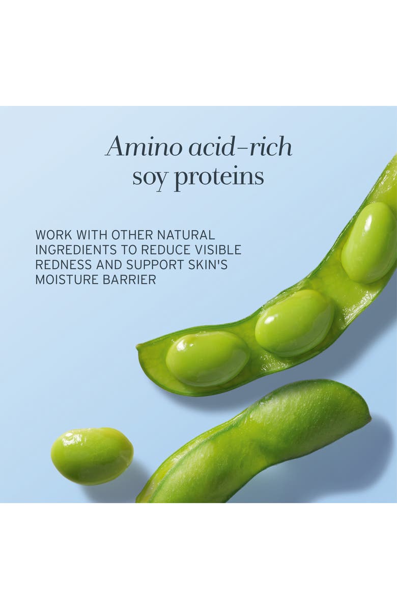 Fresh<sup>®</sup> Soy Face Cleanser Home & Away Duo (Nordstrom Exclusive) $55 Value, Alternate, color,