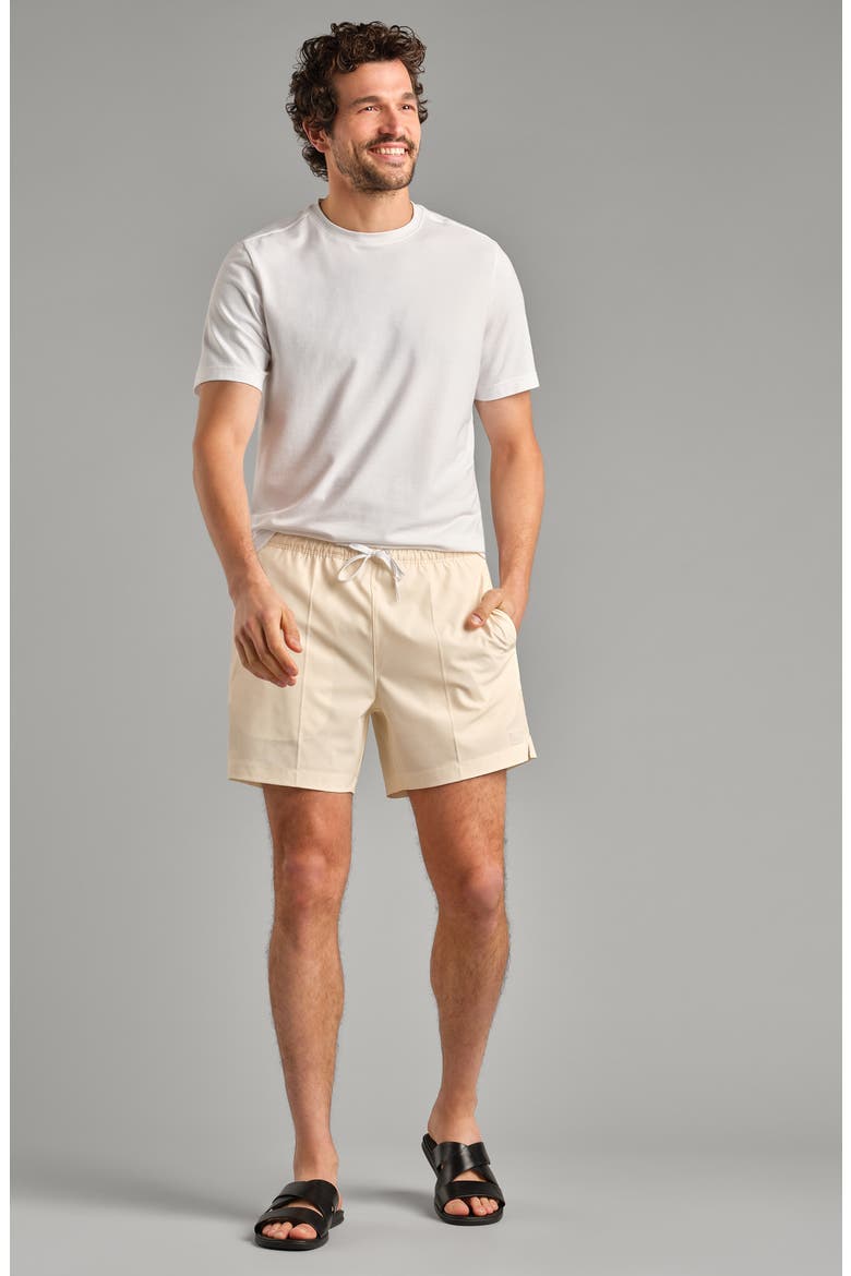 R&R 5.5-Inch Swim Trunks, Alternate, color, YELLOW DAWN MINI STRIPE