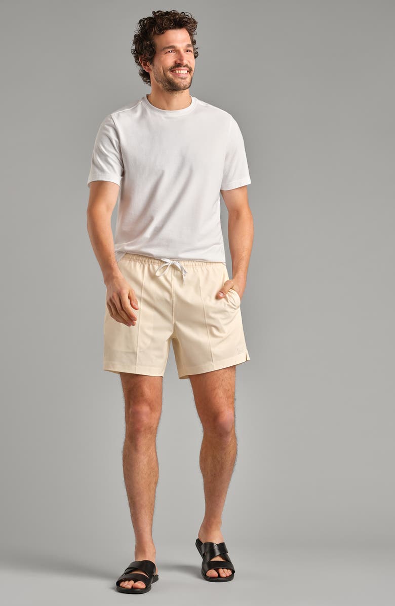 Rhone R&R 5.5-Inch Swim Trunks, Alternate, color, Yellow Dawn Mini Stripe