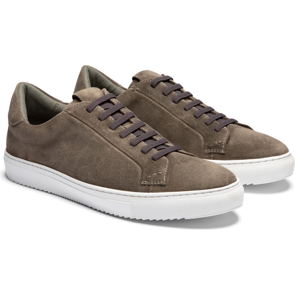 Gernie Elastic Lace Leather Sneaker In Gray