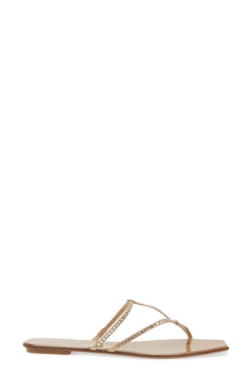 Pedro Garcia Vivian Crystal Toe-strap Flat Sandals In Ore