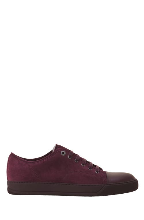 Lanvin Dbb1 Leather And Suede Sneakers In Purple