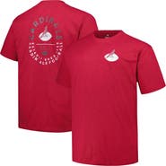 PROFILE Men's Profile Cardinal Arizona Cardinals Big & Tall Two-Hit Throwback T-Shirt