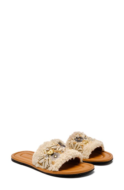 Shop Free People Shipwreck Shell Slide Sandal In Ivory