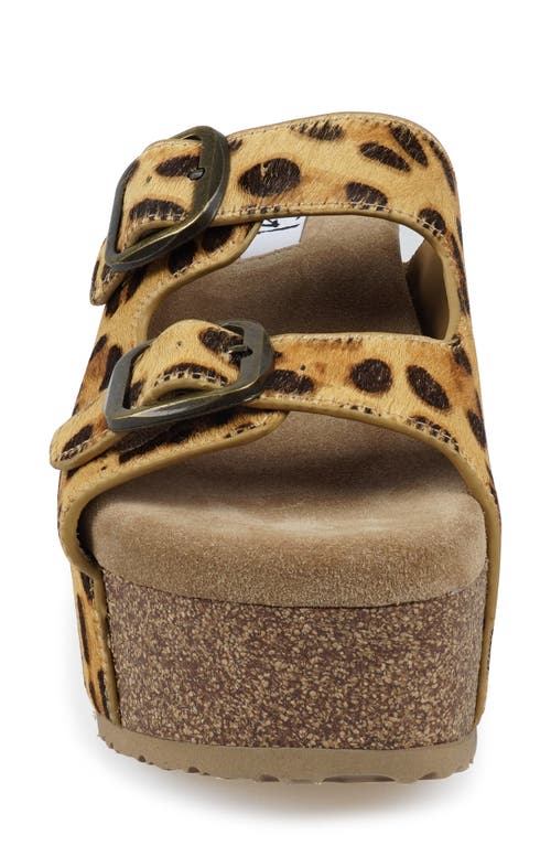 Zigi Genuine Calf Hair Platform Wedge Sandal In Multi